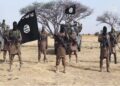 Two Notorious Boko Haram Commanders Surrender to Multinational Joint Task Force