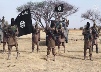 Two Notorious Boko Haram Commanders Surrender to Multinational Joint Task Force