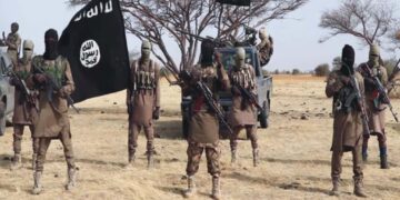 Two Notorious Boko Haram Commanders Surrender to Multinational Joint Task Force