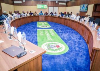 Nigeria Governors’ Forum Disagrees with Federal Govt Over New Minimum Wage