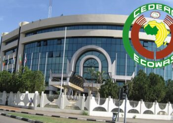 ECOWAS Finance Ministers and Central Bank Governors Convene to Implement Single Currency