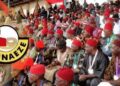 Ohanaeze Ndigbo Calls for Abolition of State Electoral Commissions Following Supreme Court Ruling