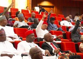 Kano Senator Unveils ₦21 Million Monthly Running Costs for Lawmakers