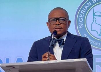 Nigeria Bar Association Offers Pro Bono Services to Support Arrested Protesters