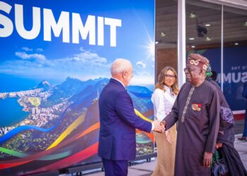 Nigeria and Brazil to Sign Livestock and Agricultural Agreements at 2024 G20 Summit