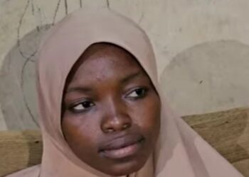 Niger Woman Escapes Kidnappers After Delivering Twins, Abductors Hold Babies Hostage