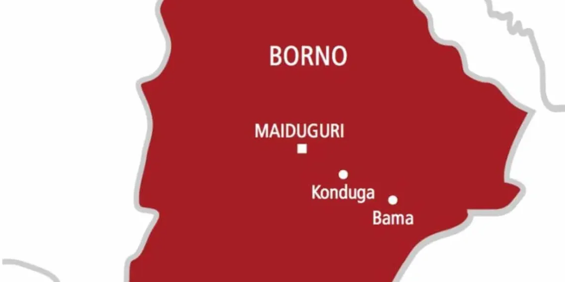 Suicide Bomber Kills 10 at Borno Fish Market in Suspected Boko Haram Attack