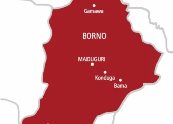 Suicide Bomber Kills 10 at Borno Fish Market in Suspected Boko Haram Attack