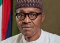 Former Abia Commissioner Personally Debunks Buhari Clone Theory After 2018 Meeting