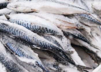 Nigeria Targets End to Fish Imports as Govt Unveils Ambitious Aquaculture Expansion Plan