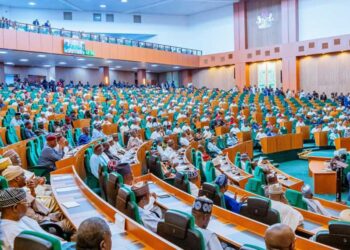 House of Reps Condemns US Visa Validity Reduction for Nigerians, Demands Policy Reversal
