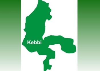 Kebbi Police Arrest 11 Men for Allegedly Impregnating 13-Year-Old Girl with Disability