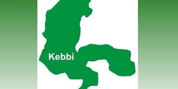 Kebbi Police Arrest 11 Men for Allegedly Impregnating 13-Year-Old Girl with Disability