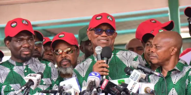 Police Halt Peter Obi Birthday Rally in Kaduna to ‘Prevent Hijacking’