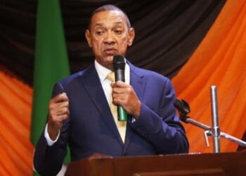 Murray-Bruce: Tinubu Fulfilled Pre-Election Promises, Only Needed 8 People to Run Nigeria