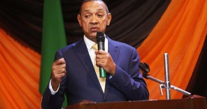 Murray-Bruce: Tinubu Fulfilled Pre-Election Promises, Only Needed 8 People to Run Nigeria