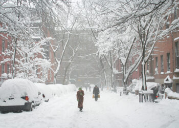 Deadly Winter Storm Paralyzes US, Kills Five in New York as Millions Remain on Alert