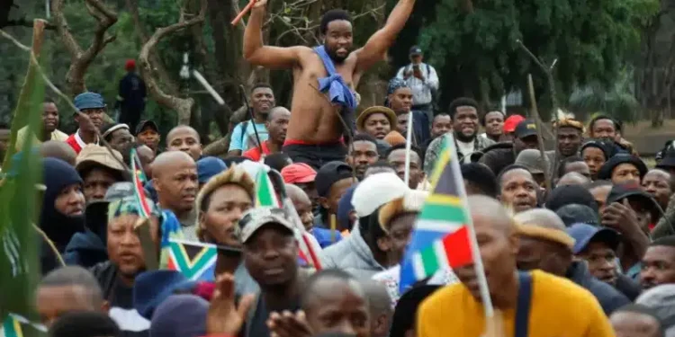 NANS Gives South African Businesses Four-Day Ultimatum Over Xenophobic Attacks