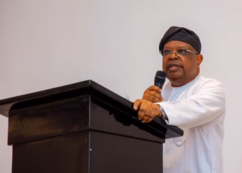 Nigerians Ask Me To ‘Slow Down’ As Electricity Supply Improves- Power Minister