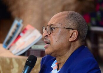 2027 Elections: Pat Utomi Warns Nigeria Could Face Crisis Over Rigging