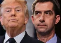 Trump Shares Senator Tom Cotton’s Phone Number Amid Daylight Saving Time Dispute
