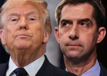 Trump Shares Senator Tom Cotton’s Phone Number Amid Daylight Saving Time Dispute